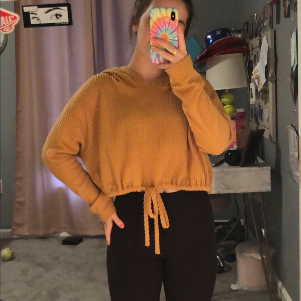 American threads cropped hoodie sweater